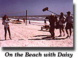 film production with daisy